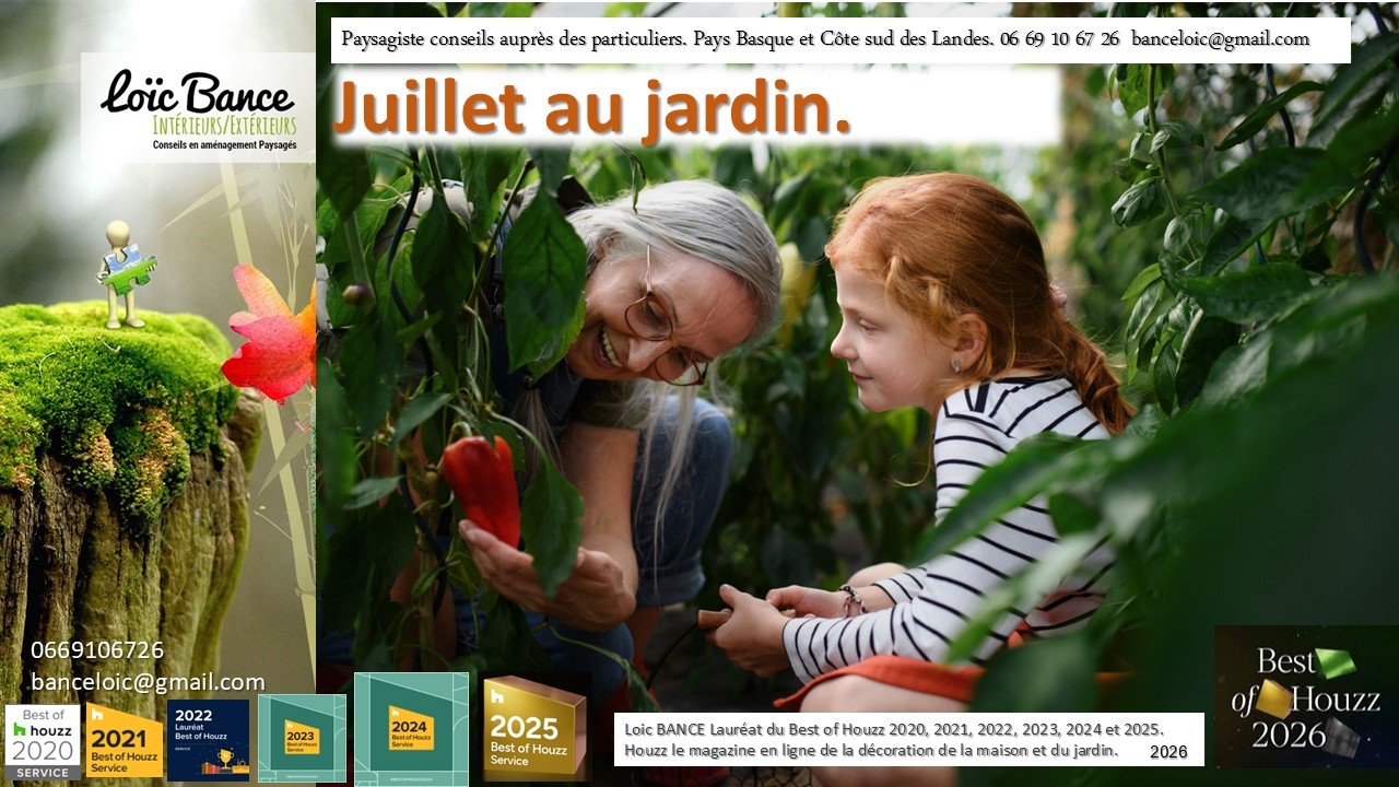 Paysagiste Arcangues Juillet au jardin