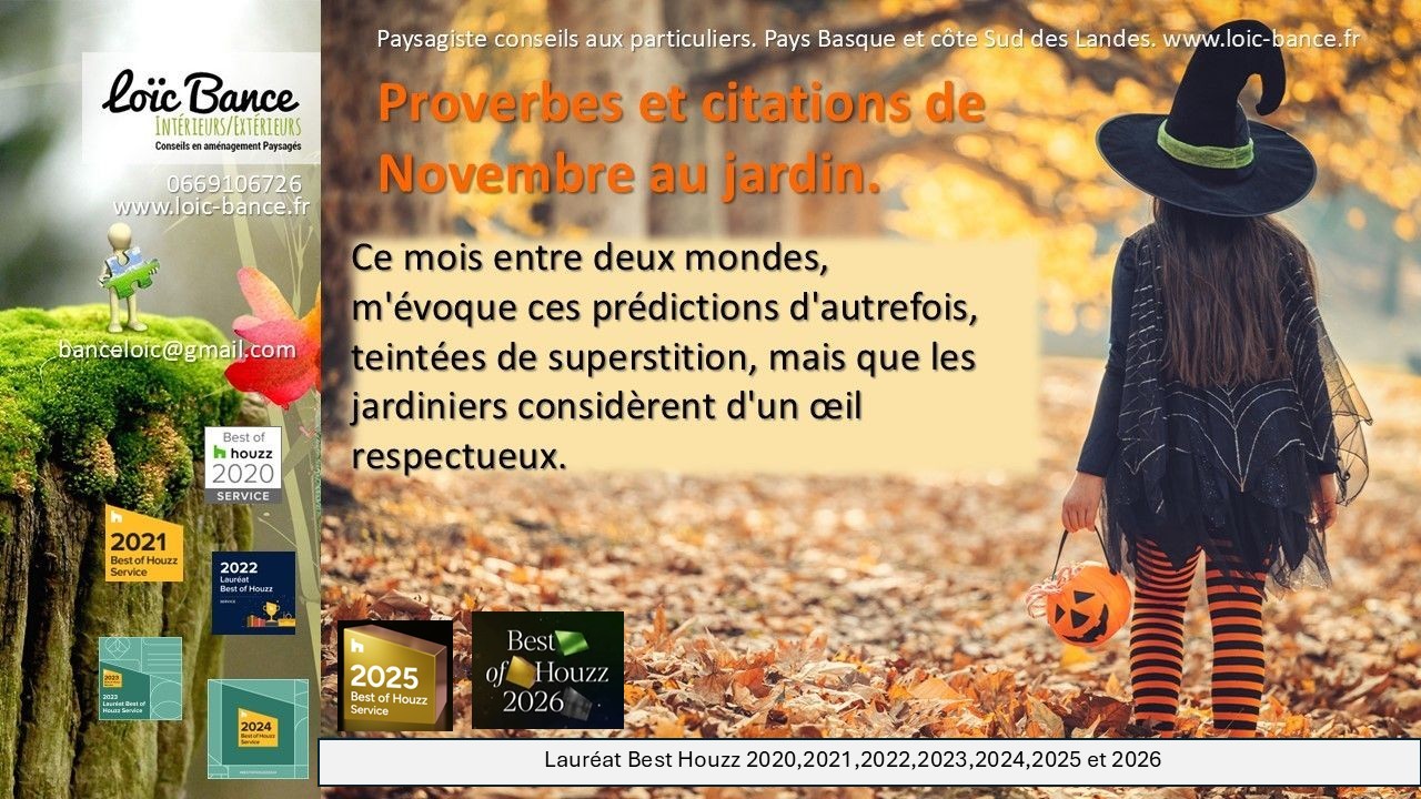 Paysagiste Arcangues. Novembre en proverdes et citations au jardins.