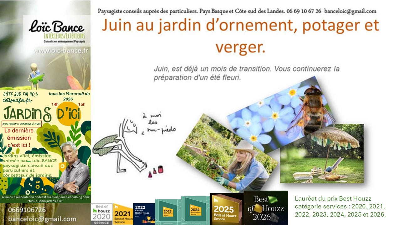 Les travaux de juin 2026 au jardin d'ornement, potager ou fruitier. Arcangues paysages