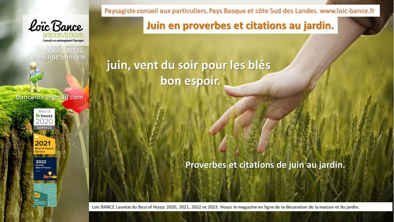 Proverbes; Citations; Jardins; Paysagiste; Landes; Pays Basque; Paysagiste Pays Basque; Paysagiste Landes; Loc BANCE; Amnagements paysagers; Concepteur de jardins; Paysagiste Arcangues; 