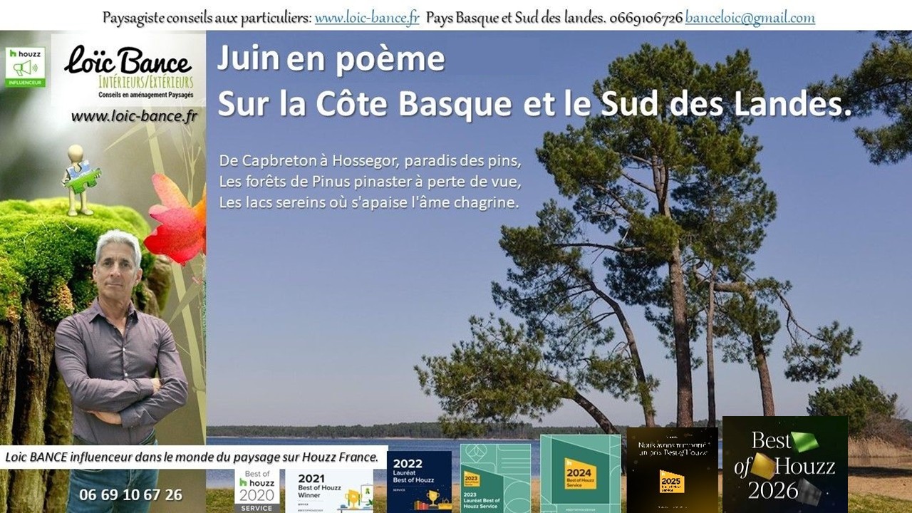 Juin en po�me sur la C�te Basco-Landaise. Arcangues paysages
