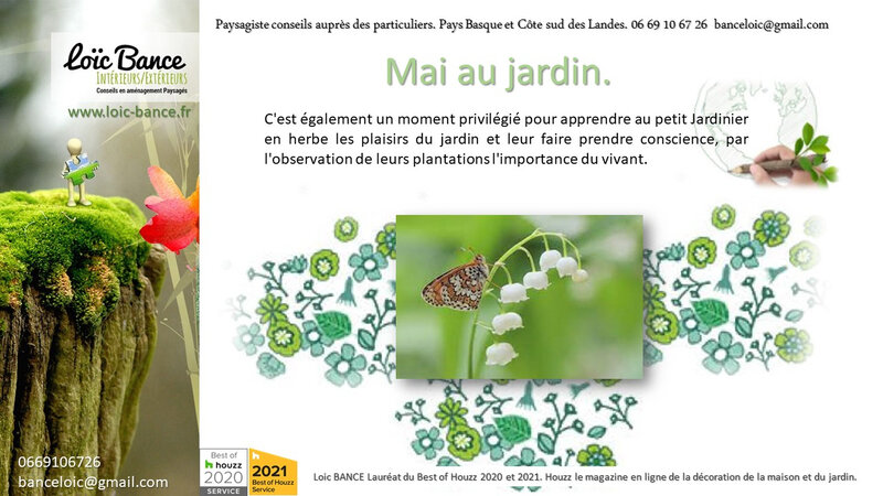 Arcangues paysagiste. Les travaux du jardin en mai