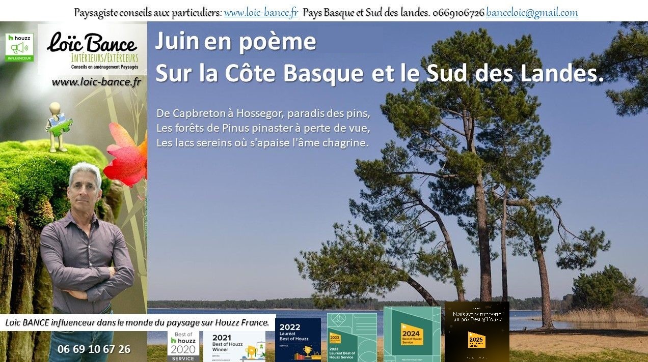 paysages; Landes; Pays Basque; Paysagiste; Paysagiste Landes; Paysagiste Pays Basque; Loc BANCE; Concepteur de jardins; Amnagements paysagers; Paysagiste conseils aux particuliers; Juin; Arcangues; 